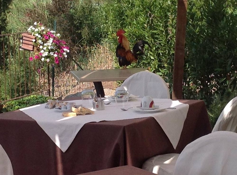 La Locanda Di Ortimino Montespertoli Zewnętrze zdjęcie